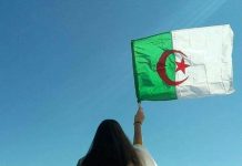 Découverte de l'Algérie à travers les Yeux d'une Touriste Française