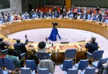 Diplomatie et Défis : L'Algérie au Conseil de Sécurité de l'ONU Face aux Tensions en Mer Rouge