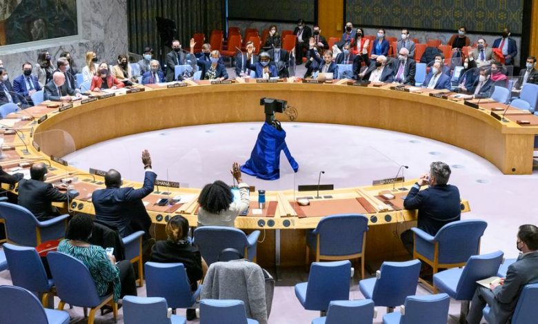Diplomatie et Défis : L'Algérie au Conseil de Sécurité de l'ONU Face aux Tensions en Mer Rouge