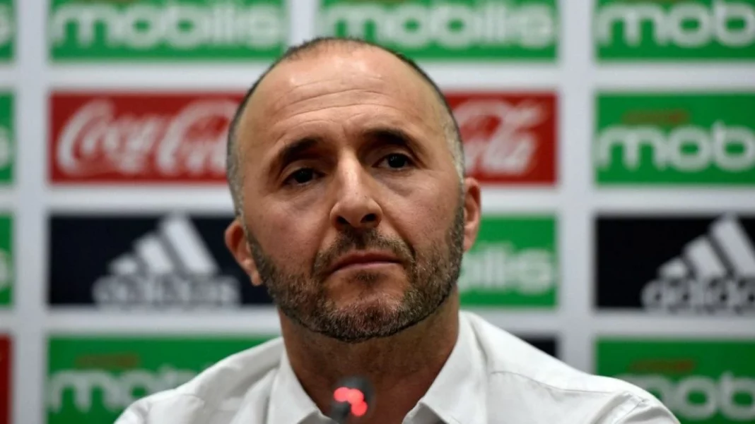 Djamel Belmadi La Fin d'une Ère Glorieuse, les Fennecs en Pleine Chute Djamel Belmadi : La Fin d'une Ère Glorieuse, les Fennecs en Pleine Chute