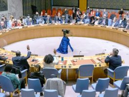 L'Algérie au Conseil de Sécurité de l'ONU : Peut-elle Réussir à Ramener la Paix en Palestine ?