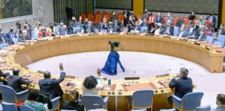 L'Algérie au Conseil de Sécurité de l'ONU : Peut-elle Réussir à Ramener la Paix en Palestine ?
