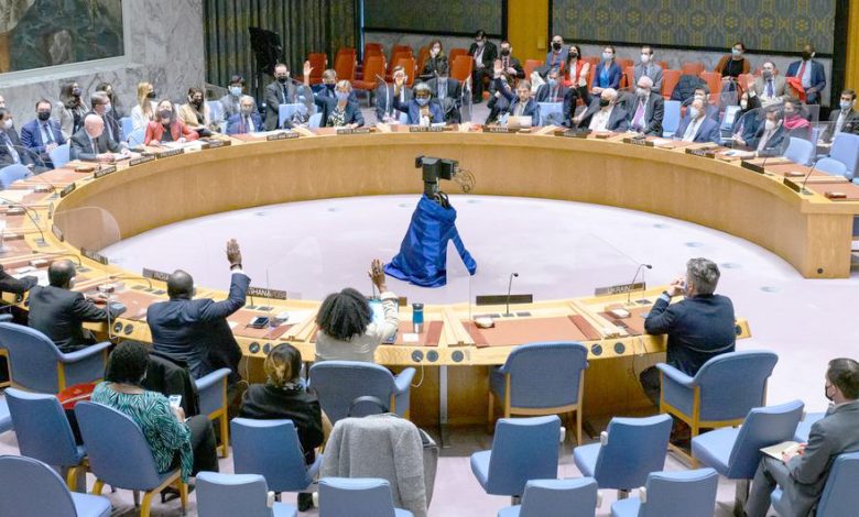 L'Algérie au Conseil de Sécurité de l'ONU : Peut-elle Réussir à Ramener la Paix en Palestine ?