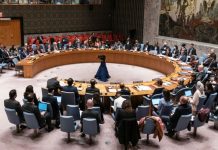 L'Algérie au Conseil de Sécurité de l'ONU : Une Voix qui Dérange et Fait Trembler les Équilibres Mondiaux
