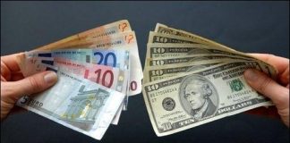 Le Marché Noir des Devises en Algérie : L'Euro en Flèche, le Dollar en Équilibre Précaire