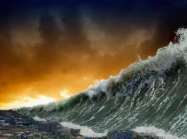 Le Mystère de l'Alerte Tsunami à Marseille : Pourquoi Certains Restent dans l'Ombre