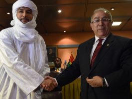 Mali : L'Accord d'Alger à l'Épreuve du Chaos - L'Équilibre Régional en Péril
