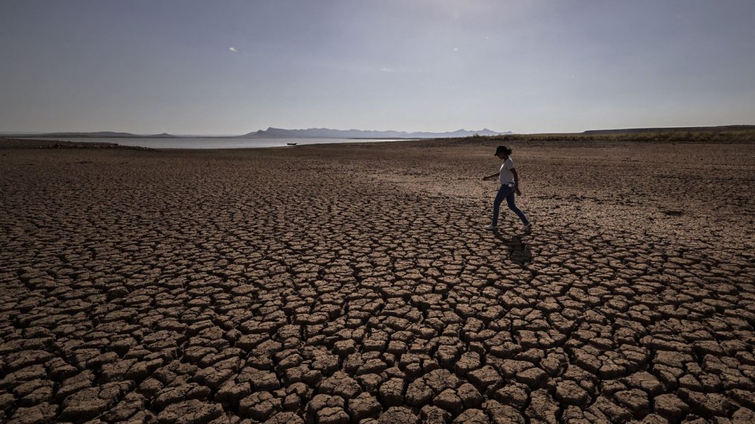 Maroc La Sécheresse Dévoile le Paradoxe de l'Agriculture Maghrébine Maroc : La Sécheresse Dévoile le Paradoxe de l'Agriculture Maghrébine