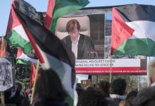 Verdict Historique de la CIJ sur Israël-Gaza : L'Algérie en Première Ligne contre l'Impunité