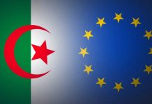 Bras de Fer Commercial : L’Union Européenne Défie l’Algérie Bras de Fer Commercial : L'Union Européenne Défie l'Algérie